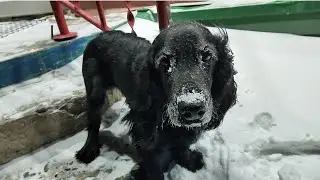 Джесси. Первый День Рождения.