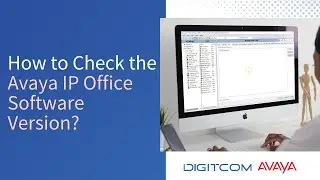 How to Check the Avaya IP Office Software Version