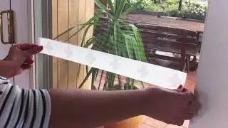 Decal Window Film Tutorial - DIY Frosted Film Designs.