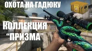 Коллекция «Призма» | Выгодные контракты №3
