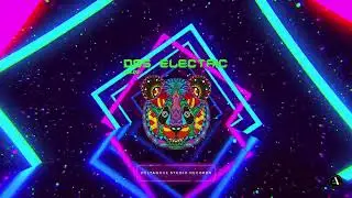 D9S ELECTRIC Vol.2_Full Album Mix