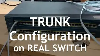 Trunk Configuration on Real Devices | DTP Configuration Explained