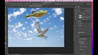 Gif Making: Using Puppet Warp
