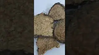 Varahikand -Dioscorea Bulbifera -Varahi-kand (Sanskrit: वराहीकन्द)- Cheekyyam – Potato Yam