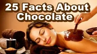 25 Facts about Chocolate || Chocolate Facts || Chocolate Model