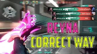 The CORRECT way to PLAY REYNA