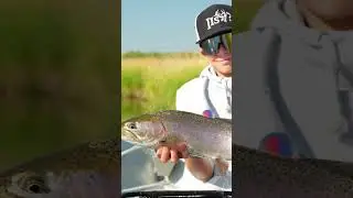 The Wood River just outside of Klamath Falls has all the spring creek vibes! #flyfishing