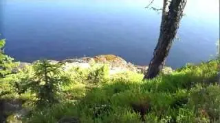 Валаам. Светлый остров. Мох и вода.