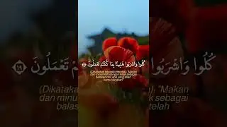 27 Agustus 2024