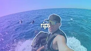 jet skiing with hundreds of dolphins in California with my sister
