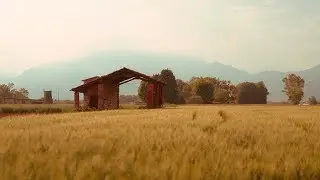 My home, my fields | Nicolò Borgo