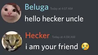 When Beluga Loses His Memory...