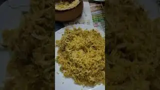 famous briyani Noida #foodie #briyani #bundle #pack #unboxing #food #tasty