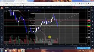 LITECOIN UPDATE ON THE DAILY! WHEN WILL THE SELL OFF STOP? DID YOU GUYS BUY?