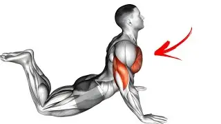 Strong chest exercises for everyone at home