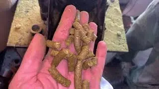 Идея Для Бизнеса Гранулированная Хвойная Мука Как Добавка В Корма Business Idea Granulated Coniferou