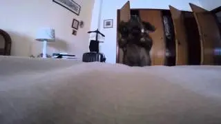 Conquest of Paradise aka Mum´s Bed