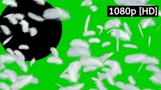 Green Screen Feather ( Center Explode )