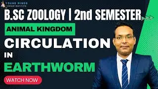 Earthworm : Circulatory System