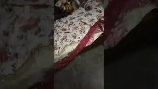 Mor vagina