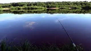 Свобода + натура. Футаж.