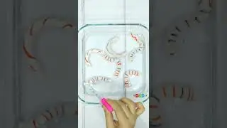 Paper Worm Experiment for Halloween