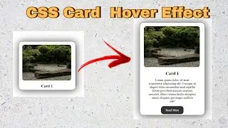 CSS Card  Hover Effect #hovereffect #html_css #css_projects #