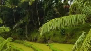 Ade Wonder Irawan - Indonesia Pusaka (Ade Jazz Version)