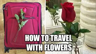 How To Travel With Flowers! 🌹✈️