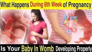 What's Happening to Your Baby at 6 Weeks of Pregnancy