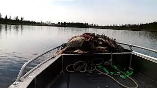 охота рыбалка август.