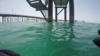 Scuba diving - floating under Rapid Bay jetty - South Australia