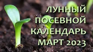 Лунный Посевной Календарь на март 2023. Что и когда сажать на рассаду в марте