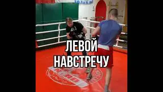 Удар левой навстречу #бокс #training #спорт #мма #школабокса #fitness #sports #mma #удар #бой #джеб