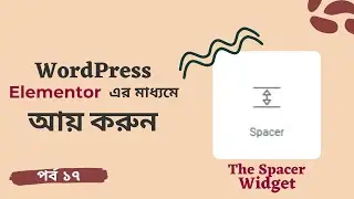 17  | The Spacer widget of elementor page builder