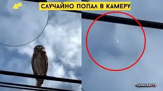 Черные объекты в небе ( Снято в Небе - Климчук ТВ ) НЛО 2023 ( Подборка видео ) UFO SKY 2023