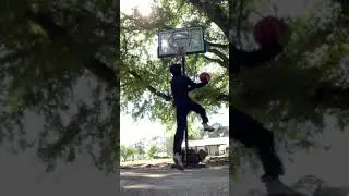 A bunch of dunks