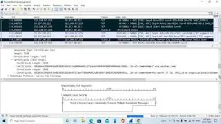 TLS Handshake Packets in Wireshark