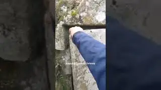 Açılır taş kapılı Etrüsk Mezarı