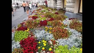 Москва. Август. Цветы у ГУМа.Фонтан с арбузами.