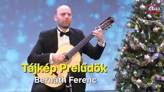 Bernáth Ferenc - Tájkép Prelűdök