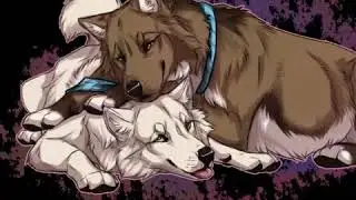 Animais anime