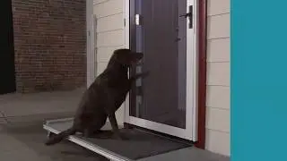 Pets Testing SecuraView
