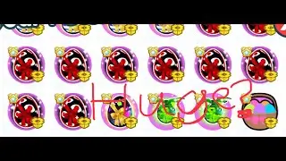 Huge??? Exclusive Egg Opening and More!