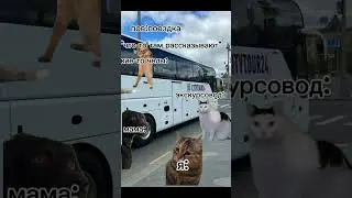 пов:поездка #рек