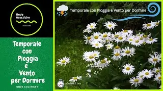 Temporale per Dormire, Temporale per Studiare, Margherite e Temporale