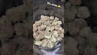 bio Jesus 🤤🔥 