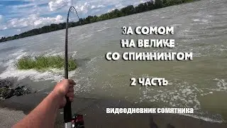 ЗА СОМОМ на ВЕЛИКЕ | Со спиннингом за сомом в наводнение 2 часть | видеодневник сомятника