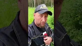 #лес