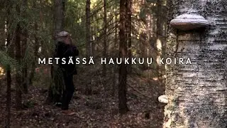 Metsässä haukkuu koira – Musiikkitraileri